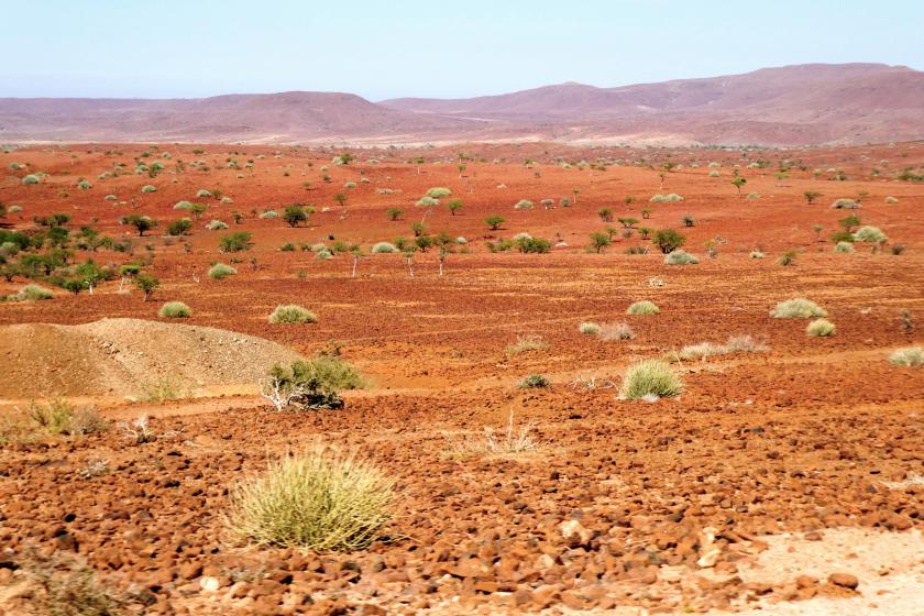 Palmwag Namibie