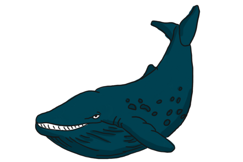 Baleine