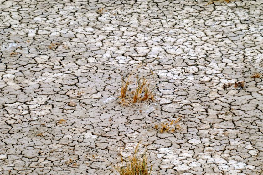 etosha