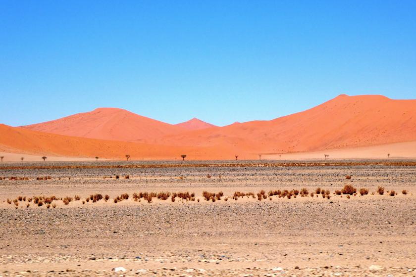 Désert du Namib