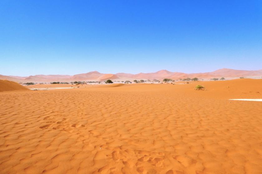 Deadvlei Sossusvlei