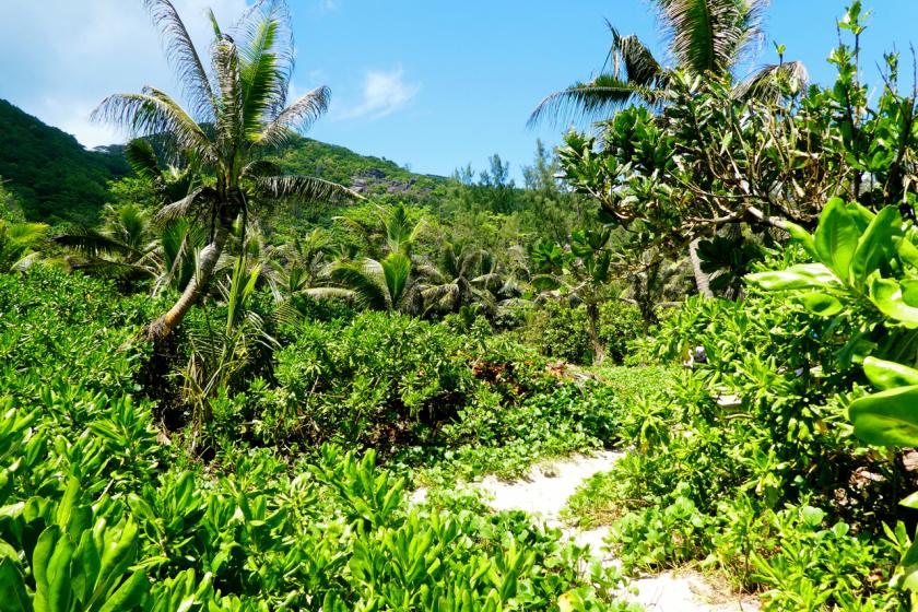 grand'anse la digue