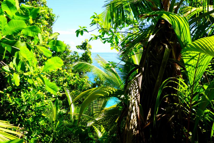 anse coco la digue